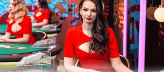kan99 slots bonus cashback free spins VIP myanmar